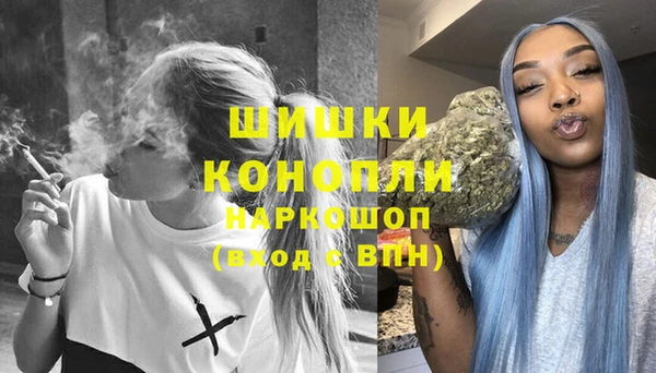 apvp Вяземский