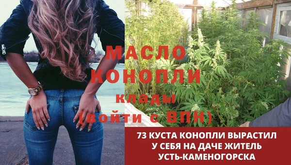 apvp Вяземский