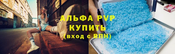 apvp Вяземский